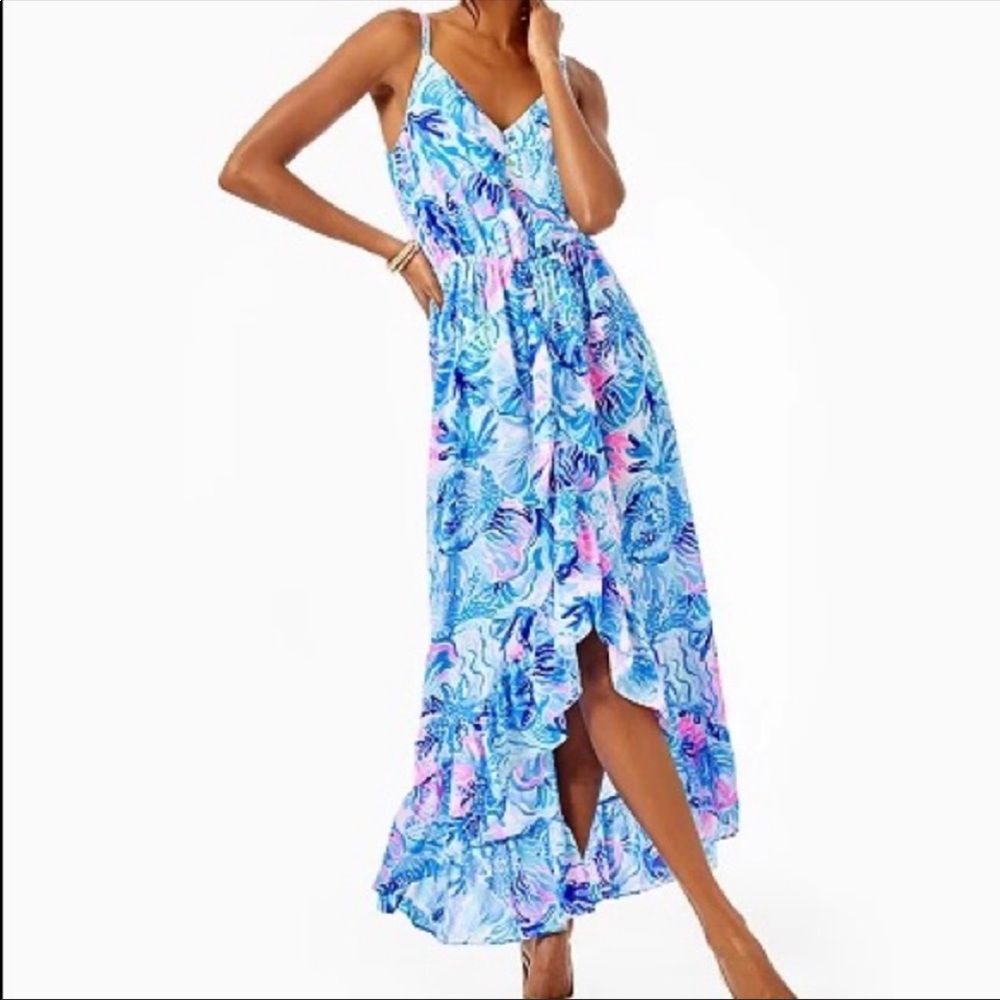 Gorgeous Lilly Dress!